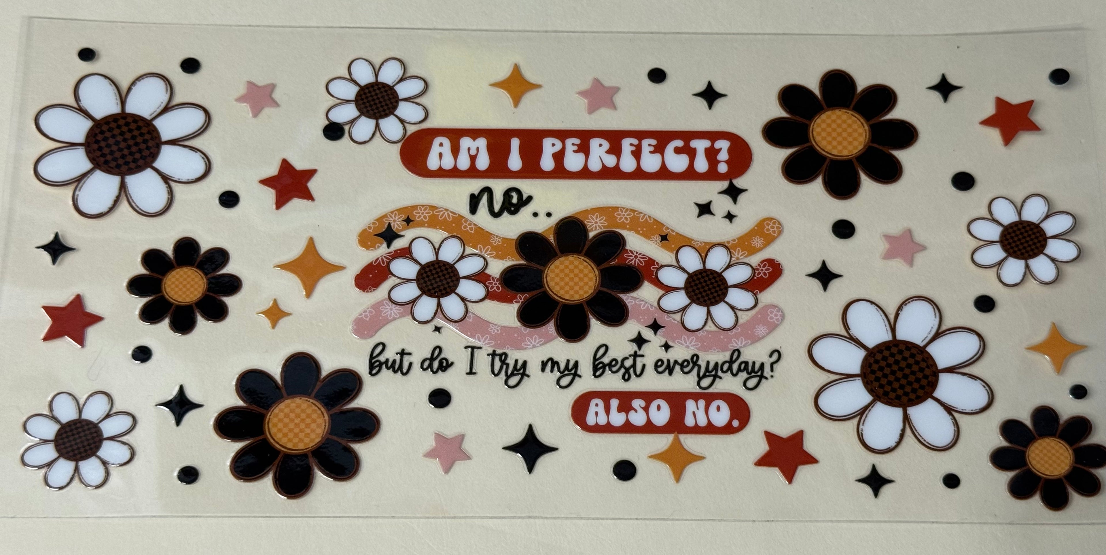 am I perfect but do I try my best everyday also no