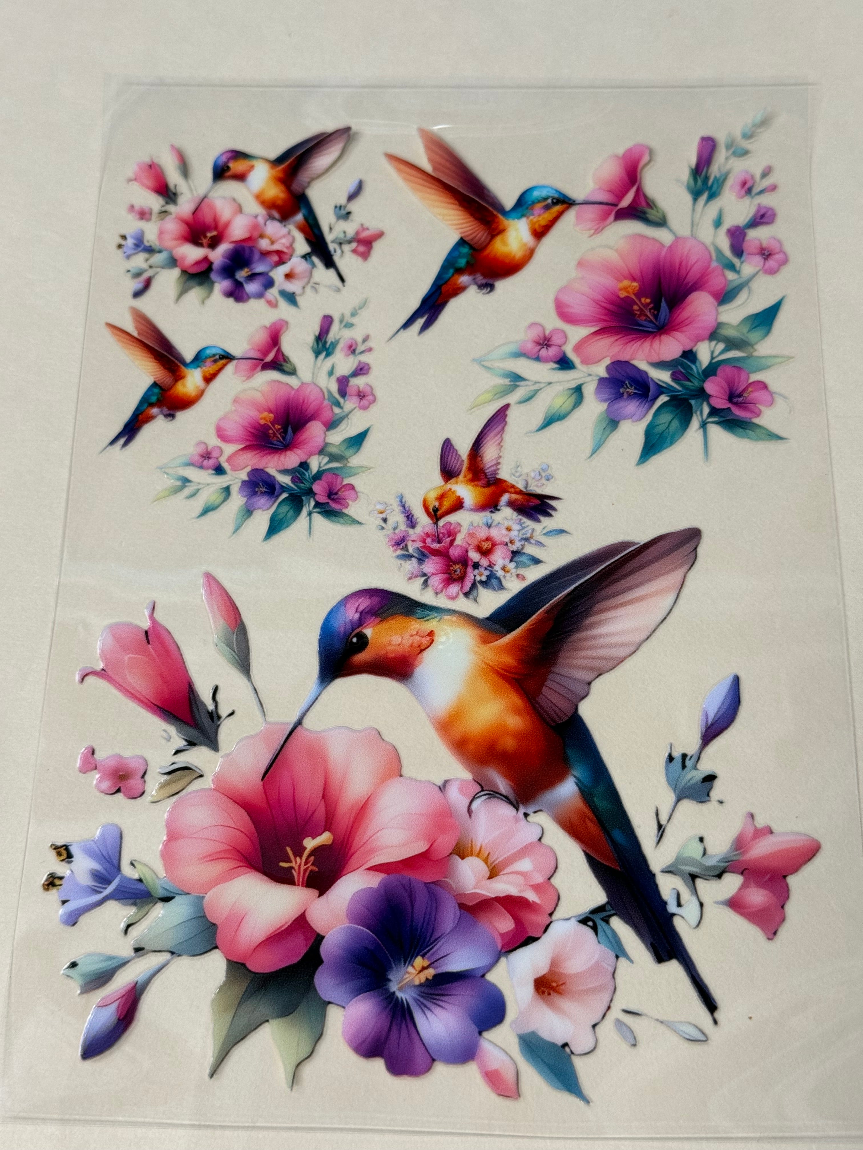 humming bird