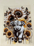 tan cow sunflower