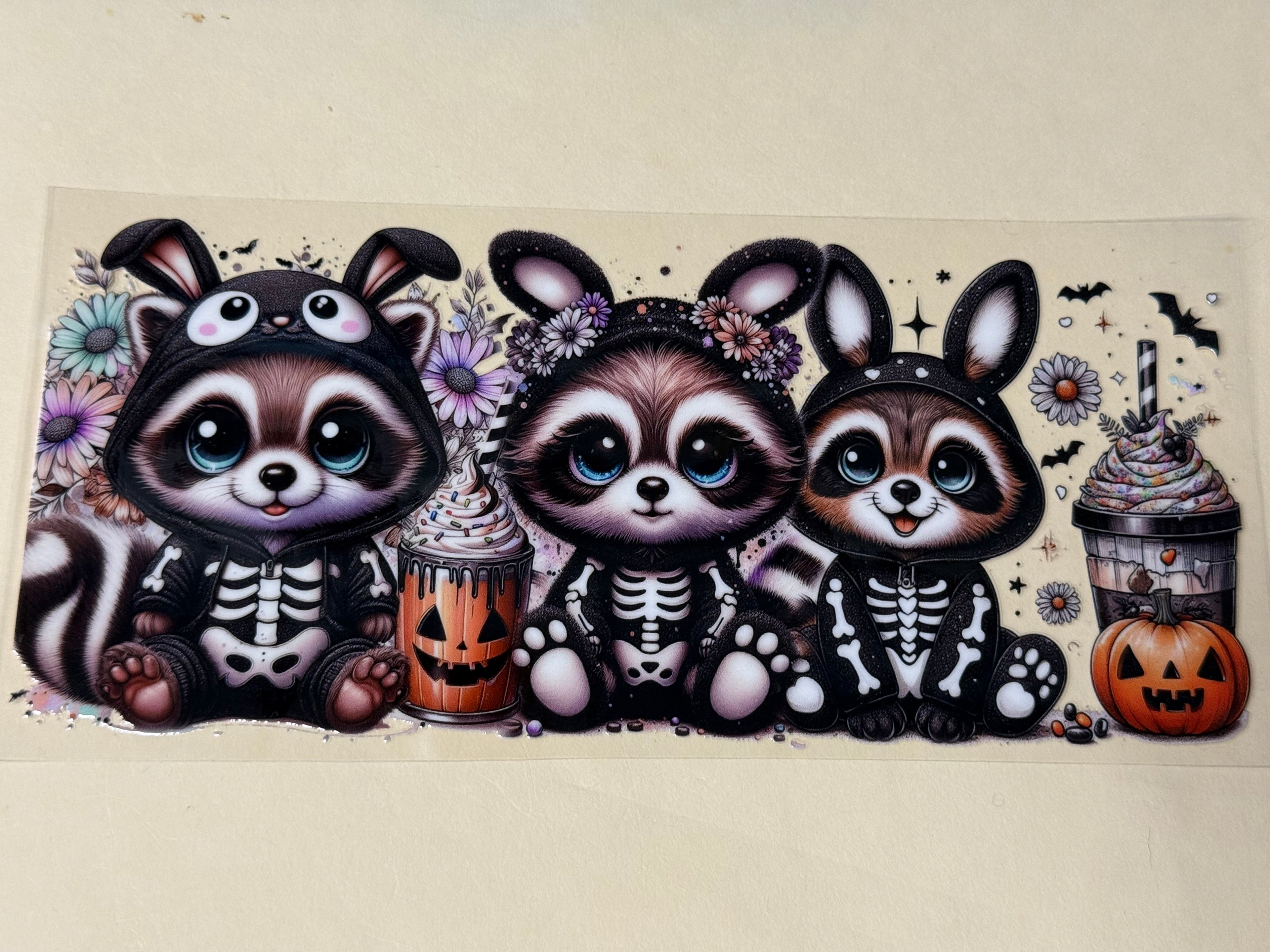 raccoon halloween