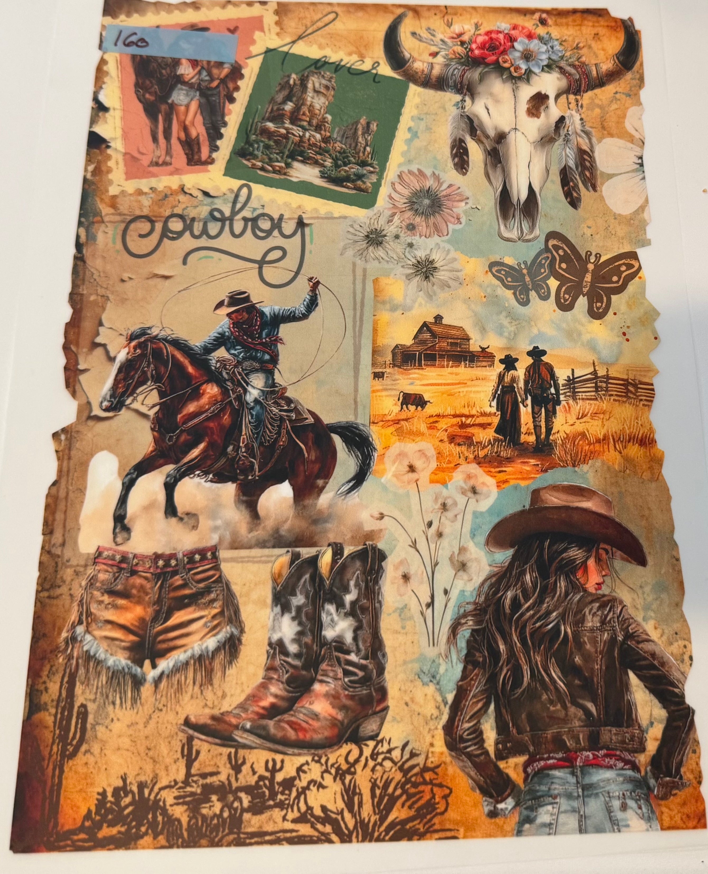 Cowboy (Copy)