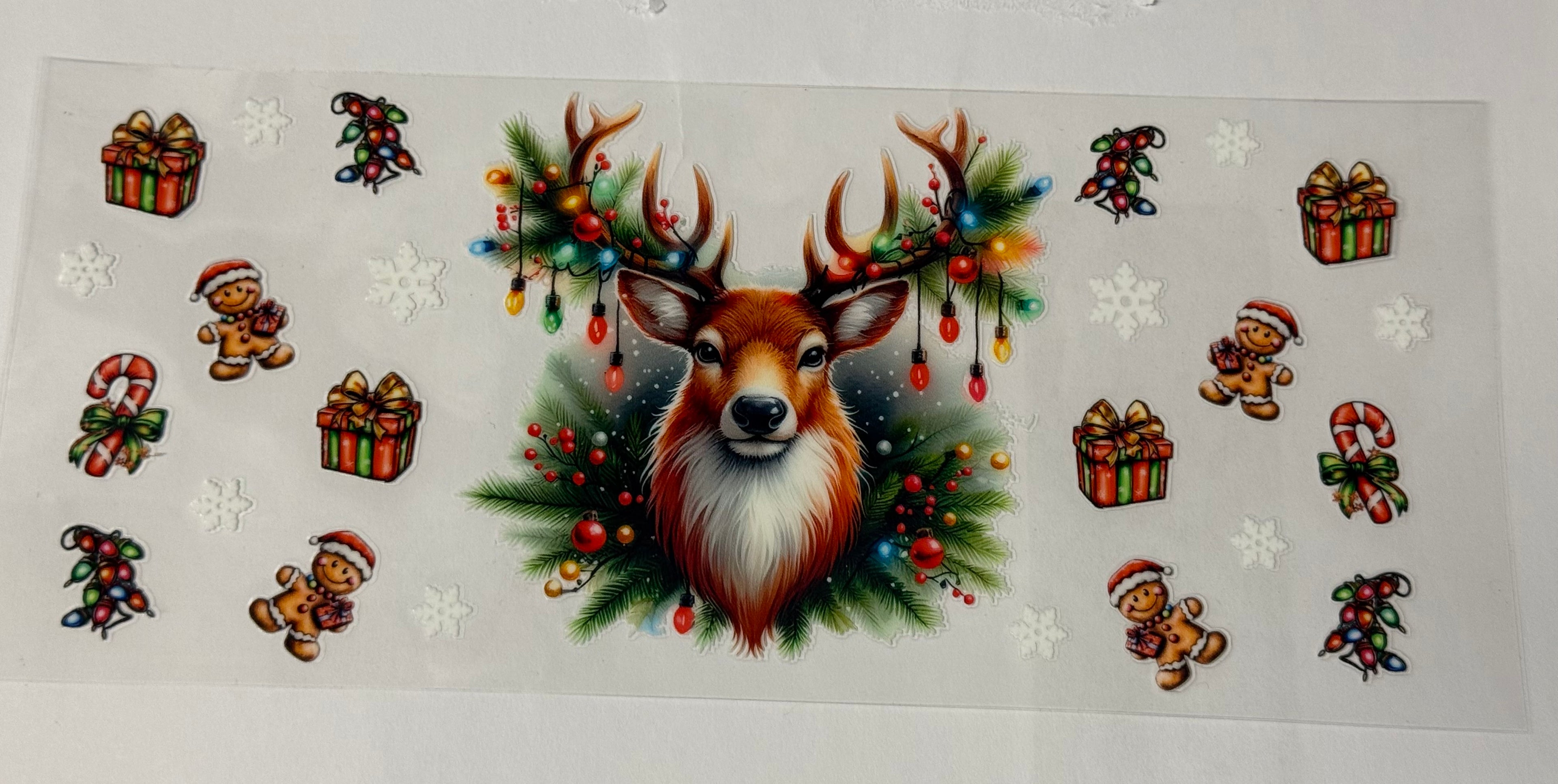 Raindeer