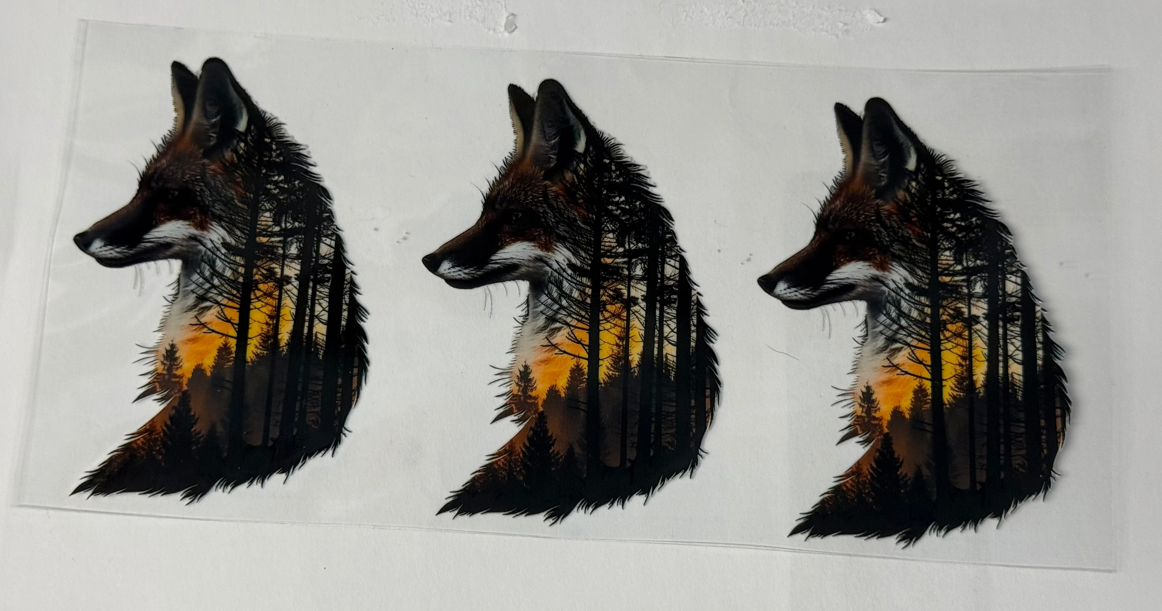 Fox
