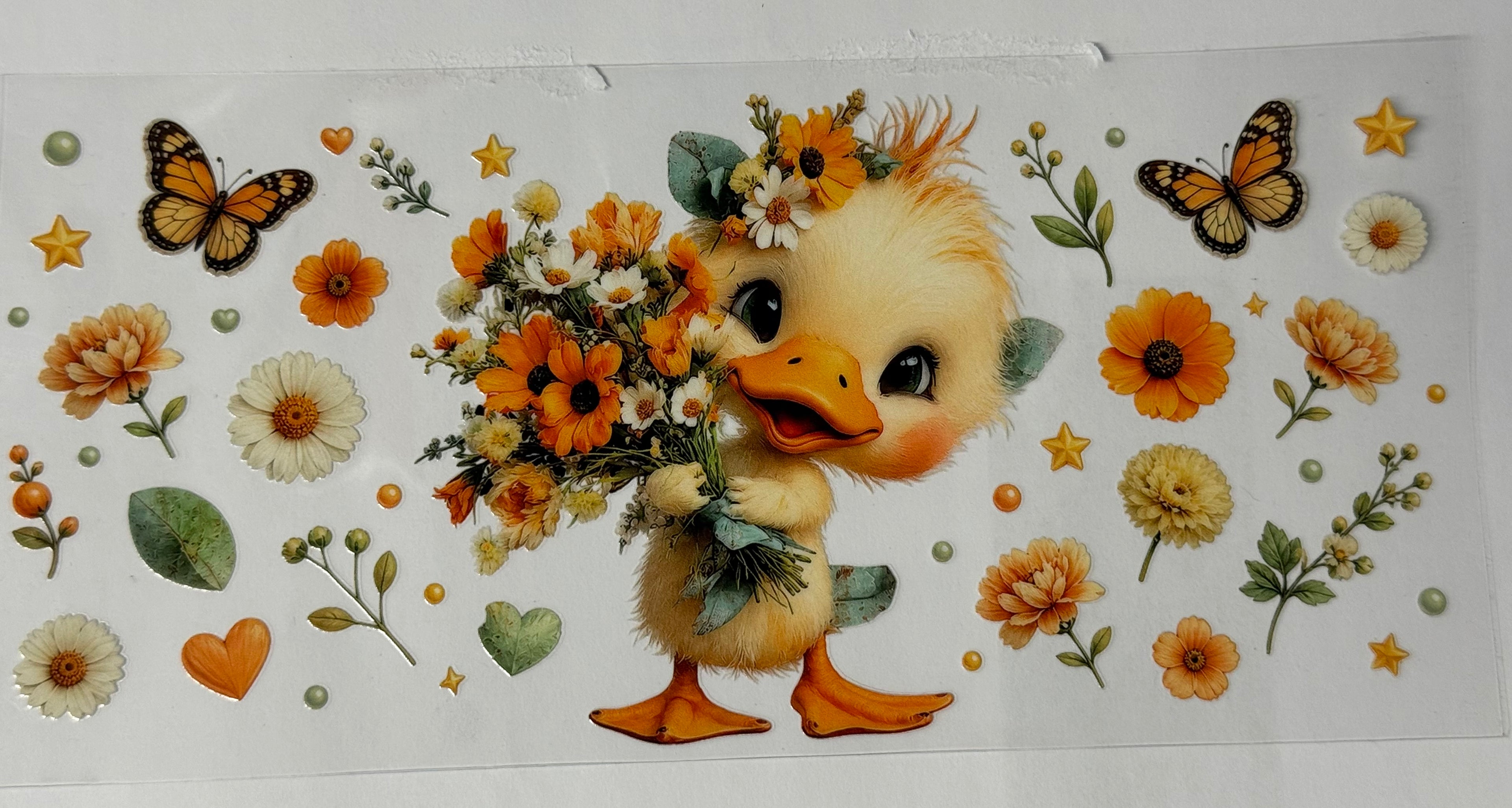 Duck